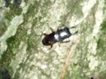P8010046blog.jpg